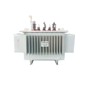 Autotransformer 10kv 20 35kv 1000kva High Voltage 3 Phase Oil Immersed Transformer