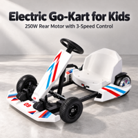 Kart électrique Crazy Kart 250W avec batterie au lithium 36V, lumières LED et Bluetooth