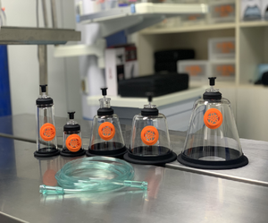 YSH <span class=keywords><strong>Veterinaria</strong></span> Conveniente y práctico para la anestesia en diferentes tamaños Veterinario Hospital Clínica Set Máscara de respiración de oxígeno - Product Image 5