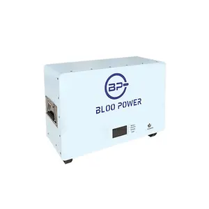 Bloopower 48V 100ah 5 kWh 5 kW Batería de iones de litio de pared de energía solar Lifepo4 Powerwall 10Kwh 5Kwh con Bms para el hogar