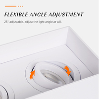Luminaire encastré LED pour intérieur 25 ° Ajustable pour 2xGU10 en aluminium pur L200xW100xH115mm