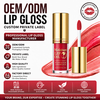 Fabricant OEM ODM Marque Privée Personnalisée Gloss à Lèvres Hydratant Longue Durée Bio Végétalien Sans Cruauté Animale