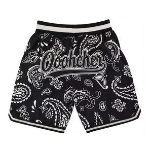 Op maat gemaakte vintage mesh applicaties sport shorts groothandel geborduurde street hiphop stijl mesh basketbalshorts met zakken - Product Image 2