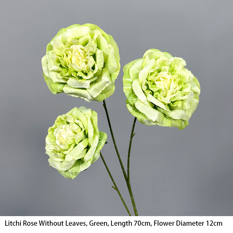 Litchi Rose Without Leaves