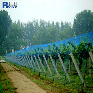 Red antiinsectos de plástico negro para jardín, gran oferta, Red de caza de pájaros estirada BOP hecha de HDPE para aplicación <span class=keywords><strong>en</strong></span> carreteras y ecologización - Product Image 1