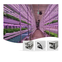Serres agricoles verticales multi-chapelles mobiles et fixes d'intérieur Loyal LS-4040 pour la culture hydroponique à grande échelle