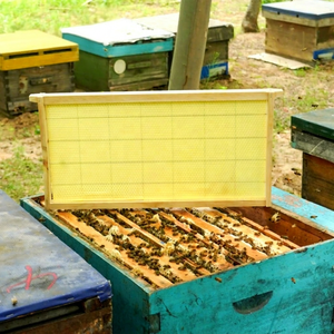 Nuevas celdas de colmena Langstroth ensambladas Menger Bee con base de cera de abeja, material de madera de pino de Nueva Zelanda y acero inoxidable - Product Image 1