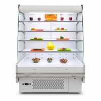 Vitrine Réfrigérée Verticale à Rideau d'Air, Multi-Niveaux, 48°C, Refroidissement par Ventilation Ambiante, LED, pour Supermarché et Magasin Commercial