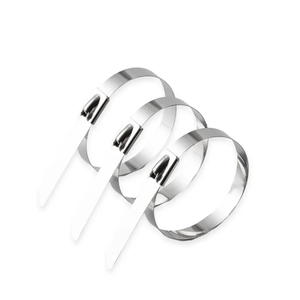 4,6x600mm Acero inoxidable Cabe Tie Aluminio Metal SS <span class=keywords><strong>Cable</strong></span> Wire Zip Tie - Product Image 5