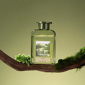 Coffret cadeau de parfums de luxe pour cadeaux de mariage, diffuseur de parfum longue durée, élégant ornement décoratif pour la maison et la chambre. - Product Image 3