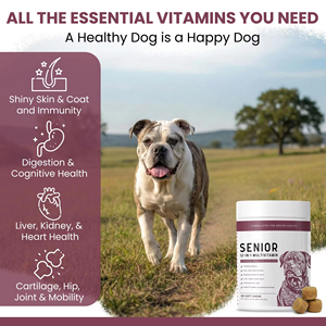 อาหารเสริมสำหรับสุนัขยี่ห้อ Petop OEM/ODM ช่วยลดกลิ่นปัสสาวะ ด้วยสาร DL-MENTHIONINE ป้องกันหญ้าไหม้ ลดจุดเหลือง ช่วยรักษาความเขียวของหญ้า - Product Image 2