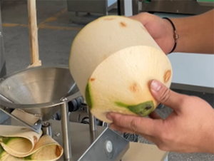 Machine à peler les noix de coco électriques automatique commerciale verte pour jeunes coques, modèle chinois - Product Image 2