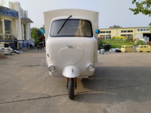 Camion de restauration électrique Piaggio Ape, café, hot-dogs, glaces, remorque alimentaire avec cuisine complète - Product Image 5