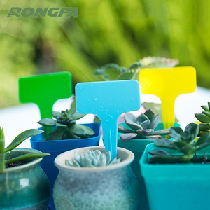 100 pezzi <span class=keywords><strong>per</strong></span> confezione 6x10cm etichette <span class=keywords><strong>per</strong></span> <span class=keywords><strong>piante</strong></span> di grandi dimensioni in plastica impermeabile all'ingrosso etichette <span class=keywords><strong>per</strong></span> <span class=keywords><strong>piante</strong></span> in plastica etichetta <span class=keywords><strong>per</strong></span> <span class=keywords><strong>piante</strong></span> in plastica <span class=keywords><strong>per</strong></span> giardino - Product Image 3