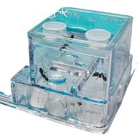 Fourmilière en acrylique, ferme à fourmis, jouet éducatif scientifique et biologique, kit d'apprentissage, cage d'observation des insectes