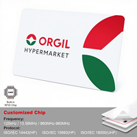 Tarjetas de Control de Acceso RFID, Mini Etiquetas de PVC, Personalizadas para Hoteles y Negocios, Resistentes al Agua, con Tecnología NFC