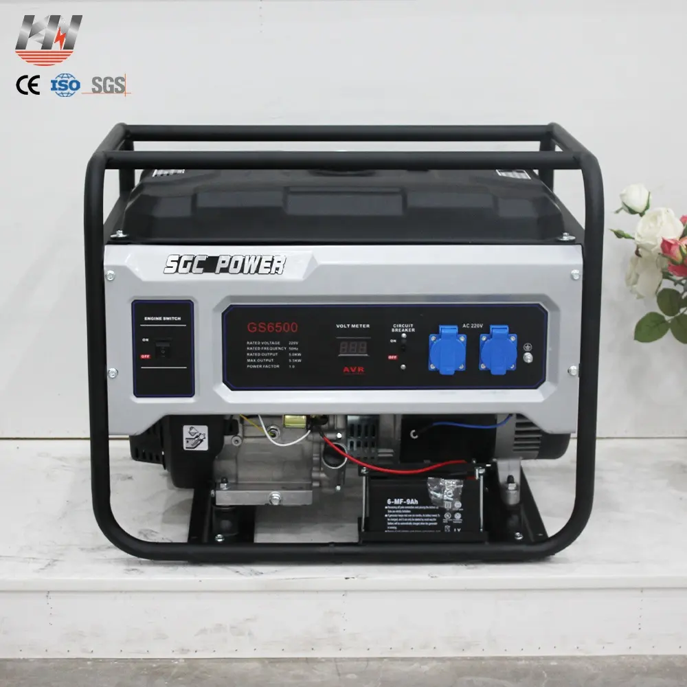 단 하나 실린더 4 치기 공기는 6.5HP Generador 무역/작은 3 단계 3000W 가솔린 이중 연료 LPG 힘 3 kW 가스 발전기를 냉각했습니다