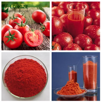 Poudre de tomate Longze/concentré de tomate/poudre de tomate séchée par pulvérisation