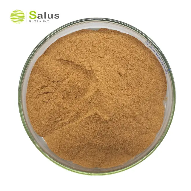 Chinese Herb Supplements Celery Leaf Extract