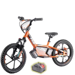 2024 Vélo électrique pour enfants 350W 36V Vélo d'équilibre électrique pour enfants 16 "Kid ebike
