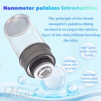 Stylo Derma Portable Personnalisé avec Logo d'Usine, Flacon Vide pour Sérum de Soin, Microneedles en Silicone Non Invasives, Derma Stamp