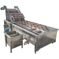 Commercial électrique fruits légumes pomme de terre ail gingembre brosse lavage Peeling polissage nettoyage nettoyant laveuse éplucheur Machine