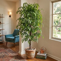 Hochwertige Künstliche Pflanzen 180cm Künstlicher Ficus-Baum Künstlicher Grüner Bonsai für Heim- und Gartendekoration