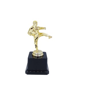 Trofeo de Taekwondo 2025 Ecológico de Plástico con Baño de Oro, <span class=keywords><strong>Grabado</strong></span> Láser, Impresión Tipográfica y Logotipo Personalizable - Product Image 1