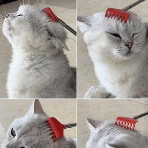 Hot-Selling Cat Grooming <b>Brush</b> Interactive <b>Pet</b> Scratch Tool Red Blue Black Plastic SZ033 - Product Image 2