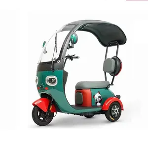 Fabricante Scooters eléctricos 3 ruedas Techo de lluvia E-trike 650W 60v20ah 48v20ah Batería Triciclos eléctricos para adultos