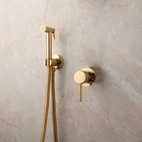 Ensemble de pulvérisateur de bidet portatif en acier inoxydable plaqué or, design moderne, économie d'eau, accessoires anaux pour femmes, robinet de salle de bain