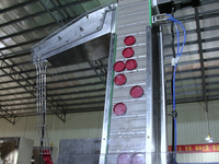 Machine de capsulage à 8 roues, capsuleuse à broche linéaire haute vitesse, 60-80 bouteilles par minute pour bouchons à vis en plastique
