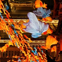 Zigong Festival-Laternenfabrik Maßgefertigte Handgemachte Wasserdichte Seiden-Fischlaterne für Outdoor-Feiertagsdekoration