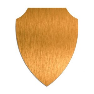 Medaglia e Targa Trofeo Placcati in Oro per Sublimazione 211X162 mm - Product Image 1