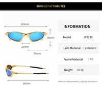 Lunettes de Soleil Polarisées Y2K, Lunettes de Sport Homme 2025 de Marque de Luxe, Lunettes de Créateur Tendance