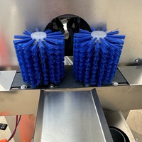 Rietreinigings- en schilmachine, commerciële automatische elektrische suikerriet schil- en snijmachine, suikerriet schillen en snijden in één machine