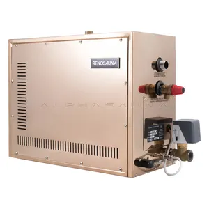 Generador de vapor automático de buena calidad, generador de motor de vapor de bioms eléctrico