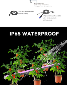 IP65 quang phổ đầy đủ dẫn phát triển ánh sáng màu xanh lá cây nhà làm vườn dọc nông nghiệp Samsung lm301h Dimmable cho các nhà máy - Product Image 6