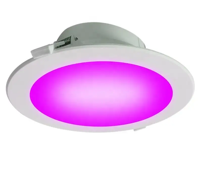 Modern Wifi Smart Mobile Phone Dimmable 8w 10w Led Ceiling Light Round Multicolor Led Ceiling Lamp
