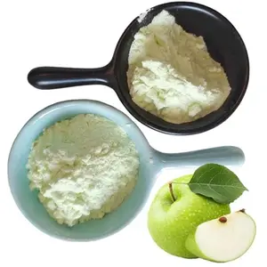 Supply Food Beverage Green Apple Fruit Powder Green Apple Powder