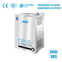 Generador de Vapor a Gas Comercial de 40-80KW, 55-125kg/h, Acero Inoxidable 304 de Grado Alimenticio, Alta Eficiencia, Ahorro de Energía del 20-40%, Control Digital