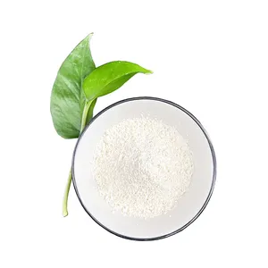 RICI Ferulic Acid 98%Rice Bran Extract Cosmetic Material Ferulic Acid Powder