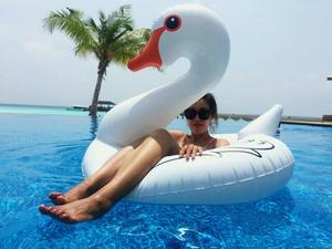 Anillo de natación de cisne 3D, blanco y negro, superventas - Product Image 5