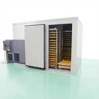 Hallo River Brand Voedseldroger Groente & Fruit Dehydrator Vis Vlees Droogmachine Warmtepomp Kruiden Droogapparatuur Droogruimte
