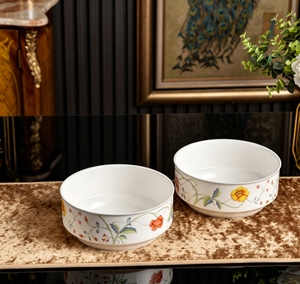 Vibrant Floral Vine Rim Ceramic Dinner Plate <b>Set</b> 6 <b>Pieces</b> Durable For Daily Meals - Product Image 2