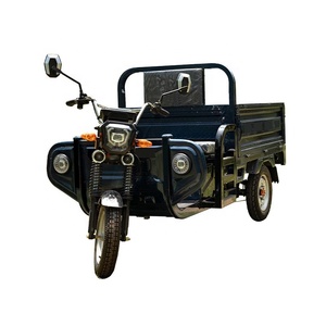 Triciclos Dobles de 48V 60V, Triciclo Convertible con Cabinas, Triciclo para Adultos - Product Image 5