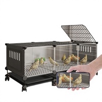 Grande cage robuste pour poulets et cailles, avec plateau en plastique, emballage en PP, fer, fenêtre transparente, anti-évasion, verrouillage, pour extérieur et intérieur