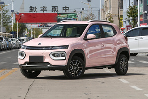 China High Quality New Ev Cars <strong>Dongfeng</strong> Nano Box 5-Door 4-Seat <strong>SUV</strong> 201Km Long Range New Energy Vehicles for Sale