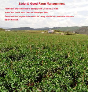 Pure Natural Dry Red Green Bell Pepper Cubos de Chile dulce deshidratado sin aditivos Vegetal Fruta Parte Embalaje a granel - Product Image 3