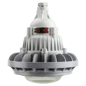 Дешевая заводская цена взрывозащищенный светодиодный уличный фонарь ATEX 30 Вт светодиодный взрывозащищенный фонарь для АЗС навес светодиодный фонарь